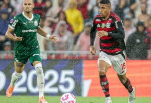 Palmeiras e Flamengo decidem 1º tetra brasileiro na Libertadores