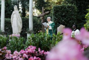 Papa a agrônomos e engenheiros florestais: cuidar da terra é um ato de amor