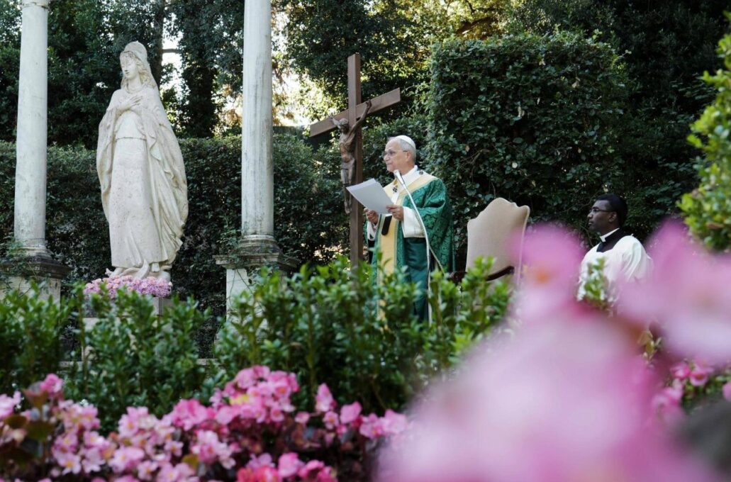 Papa a agrônomos e engenheiros florestais: cuidar da terra é um ato de amor