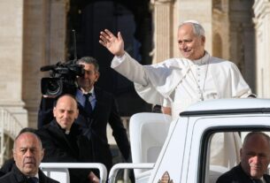 Papa aos brasileiros: cuidemos do meio ambiente para não sermos destruidores dele