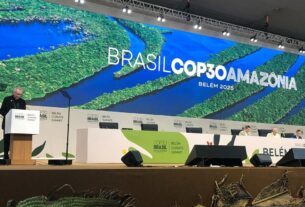 Papa, COP30: “Se vocês querem cultivar a paz, cuidem da Criação”