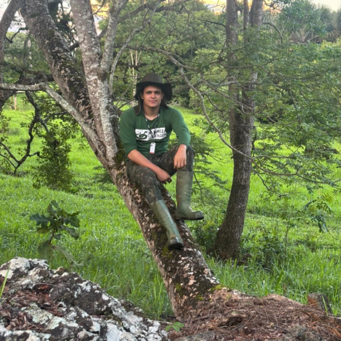 Plantas medicinais do Cerrado estão sob ameaça climática