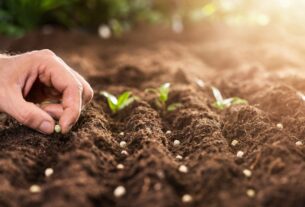 “Restarting the Economy”: evento global pelo retorno de uma "economia do suficiente"