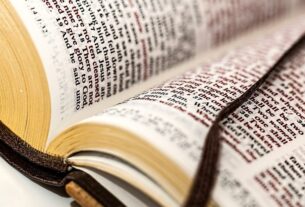 XXXIII Domingo do Tempo Comum