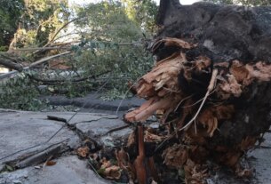 MIDR reconhece situação de emergência em 21 municípios 