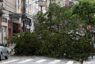 Prefeitura fecha todos os parques de São Paulo por causa dos ventos
