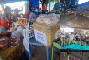 Expandindo Oportunidades: Por Que a Luta Pela Ampliação da Feira do Produtor Pode Transformar a Renda Familiar e o Comércio em Porangatu