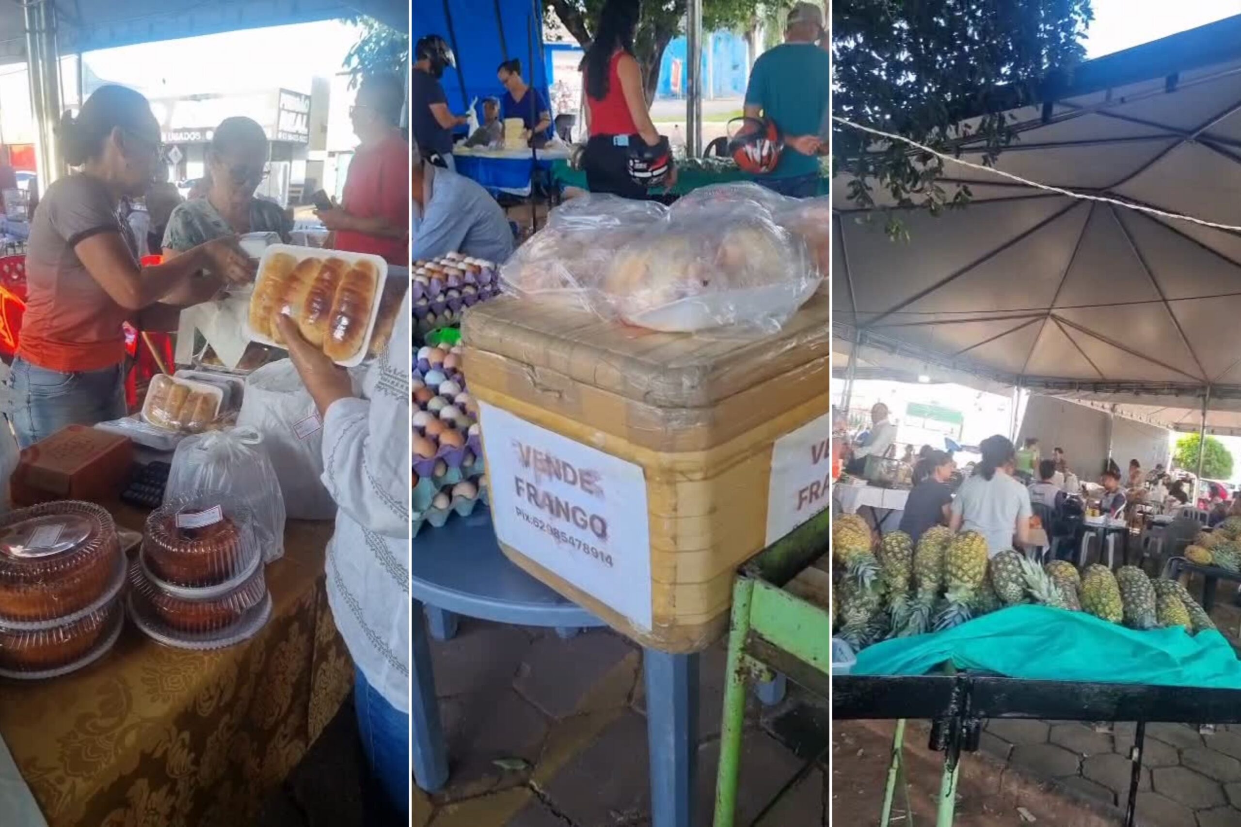 Expandindo Oportunidades: Por Que a Luta Pela Ampliação da Feira do Produtor Pode Transformar a Renda Familiar e o Comércio em Porangatu Expandindo Oportunidades: Por Que a Luta Pela Ampliação da Feira do Produtor Pode Transformar a Renda Familiar e o Comércio em Porangatu