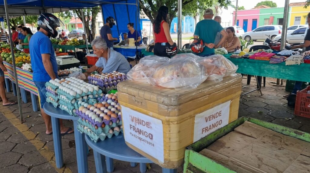Feira do Produtor em Porangatu no espaço do Rodo Shopping reunindo feirantes e moradores locais.