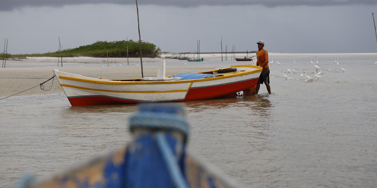 PF impede desvio de até R$ 10 bilhões em seguros fechados no Maranhão PF impede desvio de até R$ 10 bilhões em seguros fechados no Maranhão