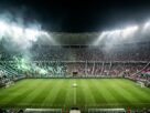 Palmeiras joga pelo empate diante do Fluminense para buscar a quarta final da Libertadores em sete edições